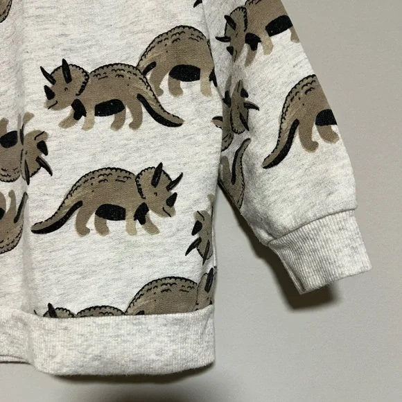 Carter's Size 18 Months Gray Brown Dinosaur Pull Over Long Sleeve Sweatshirt - Picture 7 of 7